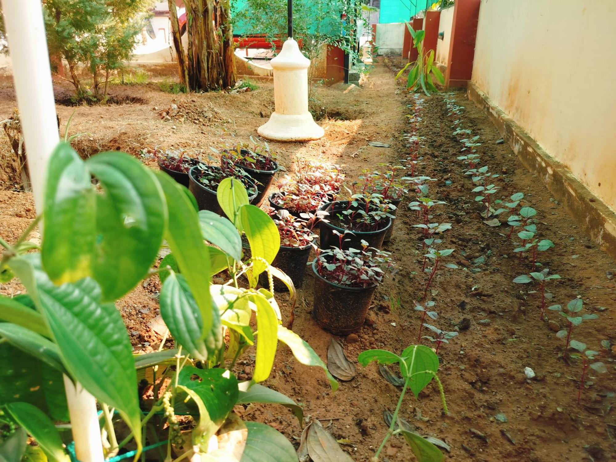 The Ixora - A Boutique Homestay Varkala Exteriér fotografie