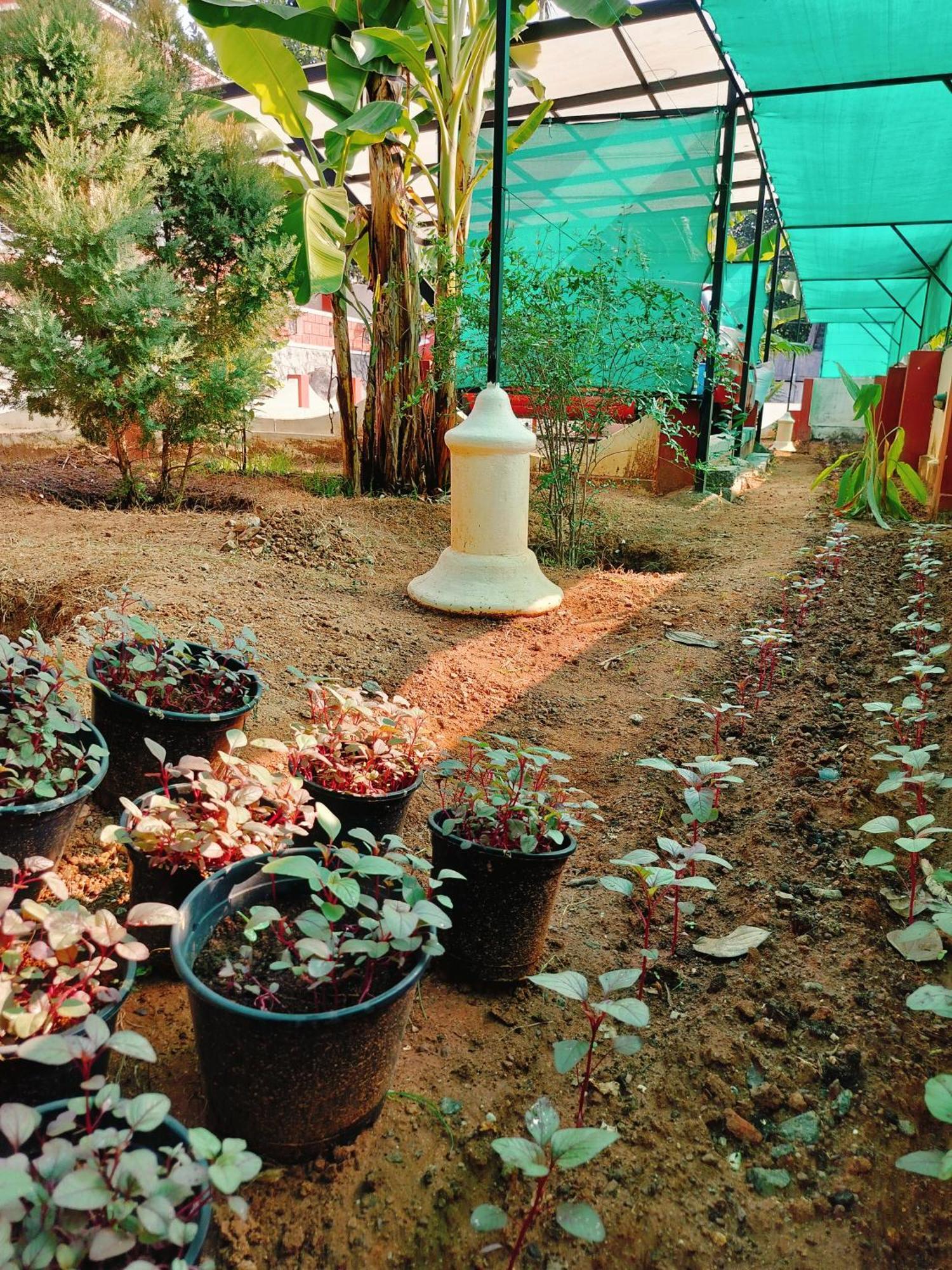 The Ixora - A Boutique Homestay Varkala Exteriér fotografie